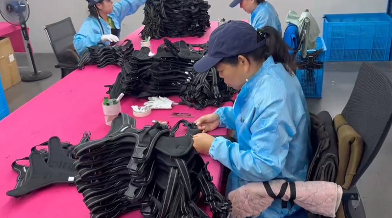 米兰·milantiyu宠物，无处不在