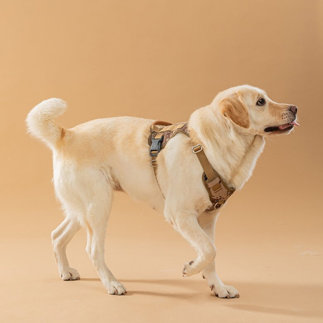 米兰·milantiyu胸背