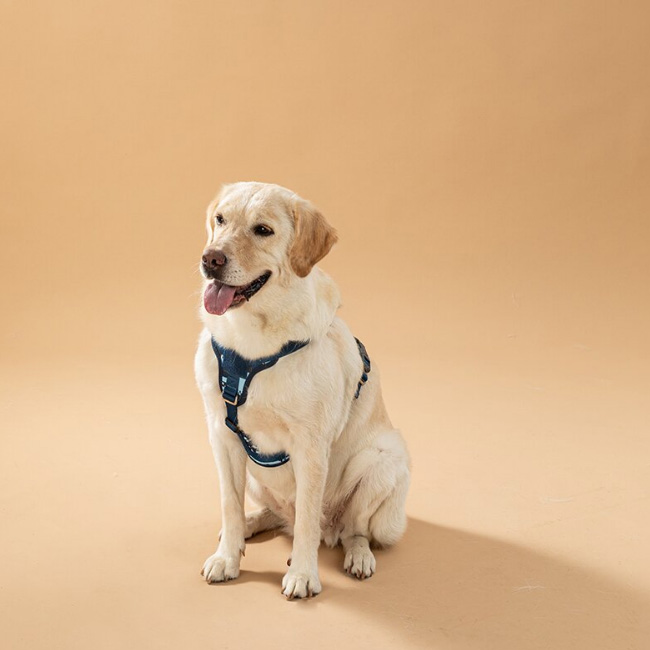 米兰·milantiyu胸背