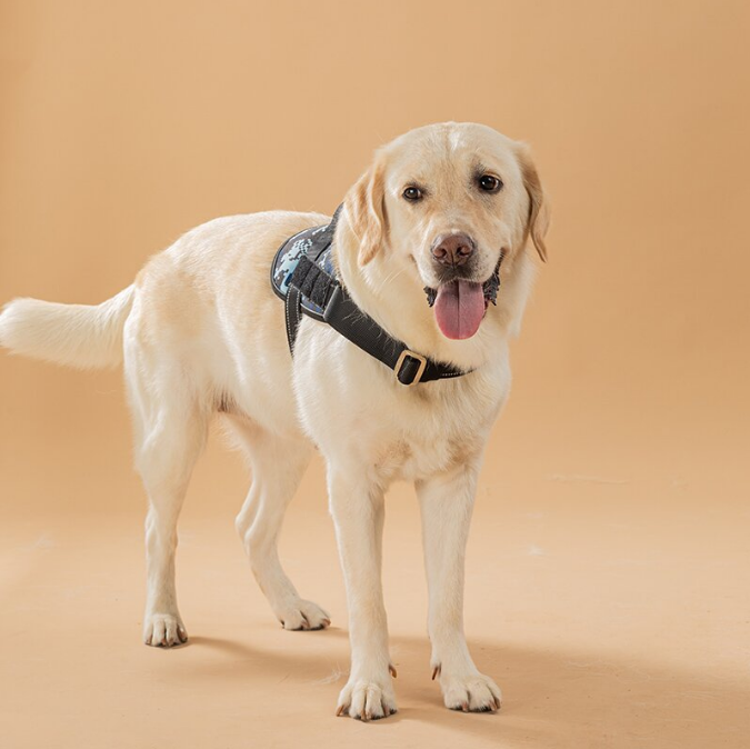 米兰·milantiyu胸背