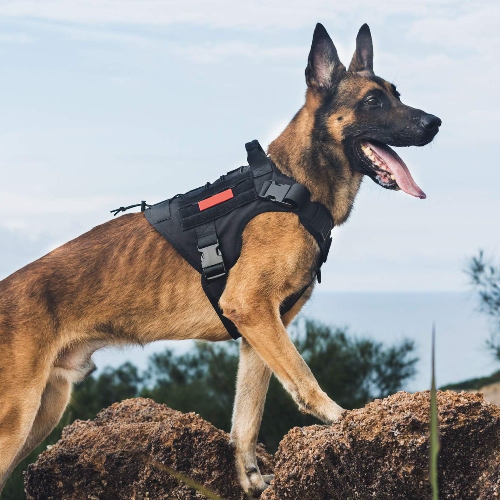 米兰·milantiyu胸背